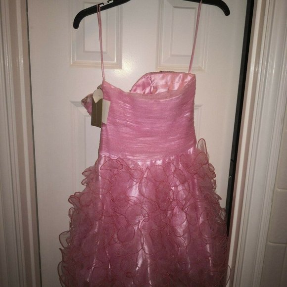 Pink Prom Dress - Picture 4 of 4